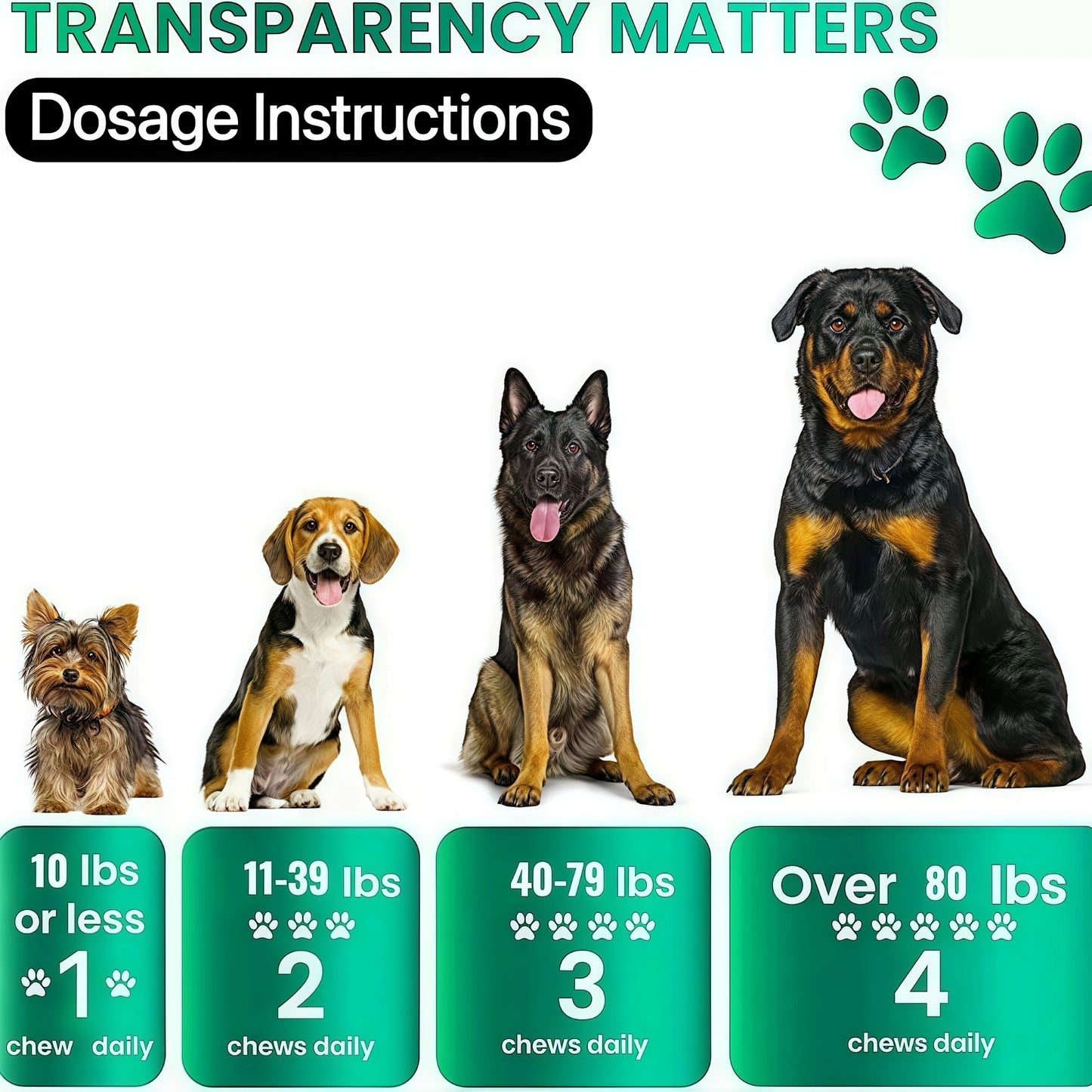Dog Itch Relief Allergy Chews — Soft Chew Supplement for Skin & Coat
