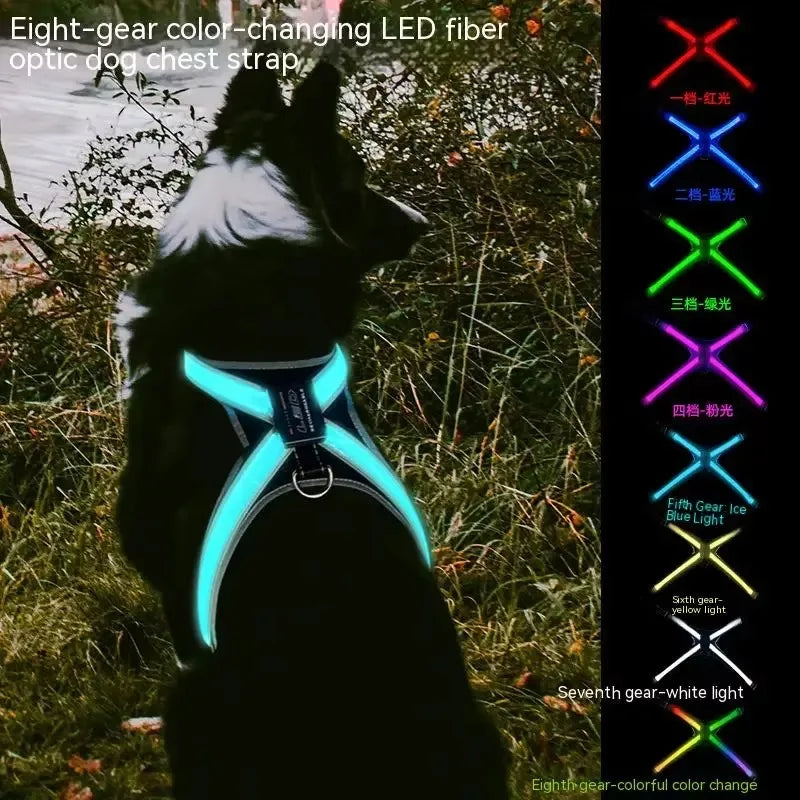 Color Changing Dog Collar — Unique Fiber Design