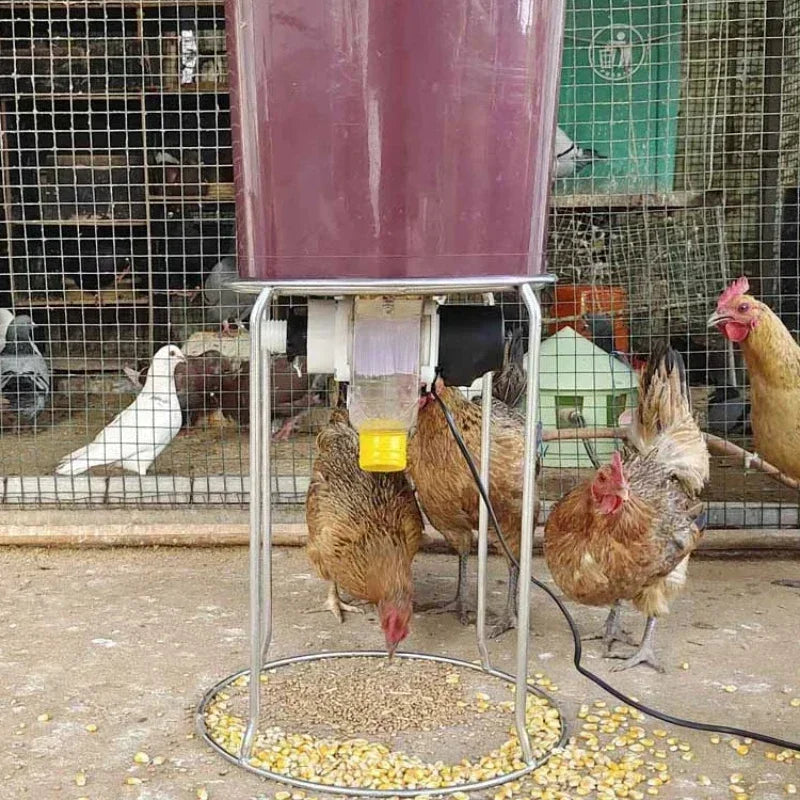 Gravity Bucket Poultry Feeder — Fill, Flip & Feed | Automatic Trough for Chickens, Ducks & Pigeons | WiFi or Solar Timer