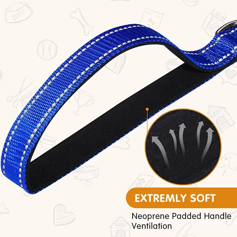 Reflective Night Safety Lead Strap for Dogs & Cats — Multiple Lengths & Colors