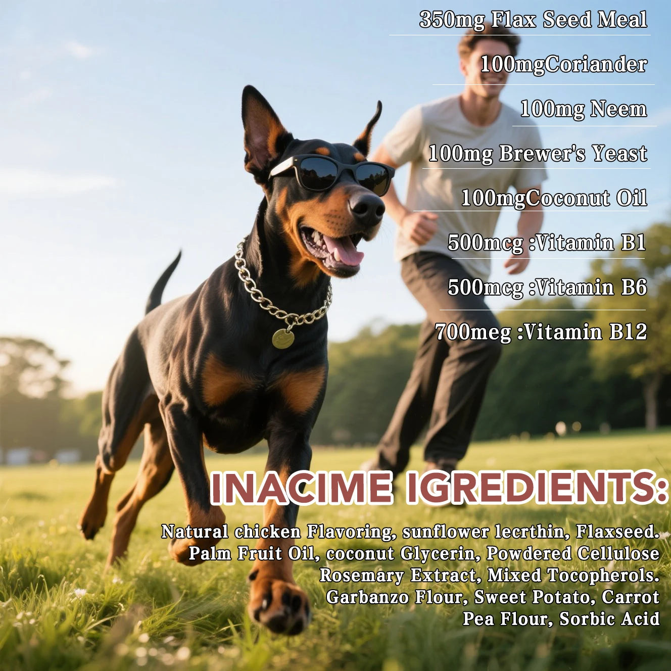 Dog Flea & Tick Prevention Chews — Allergy Relief, Anti-Itch & Skin Repair