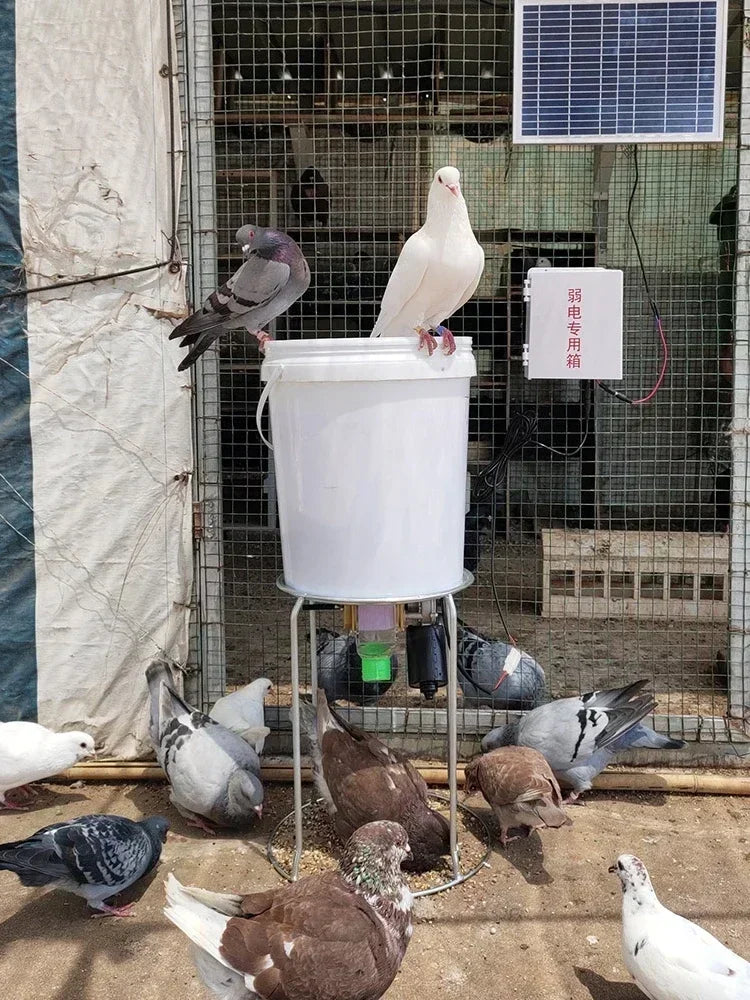 Gravity Bucket Poultry Feeder — Fill, Flip & Feed | Automatic Trough for Chickens, Ducks & Pigeons | WiFi or Solar Timer