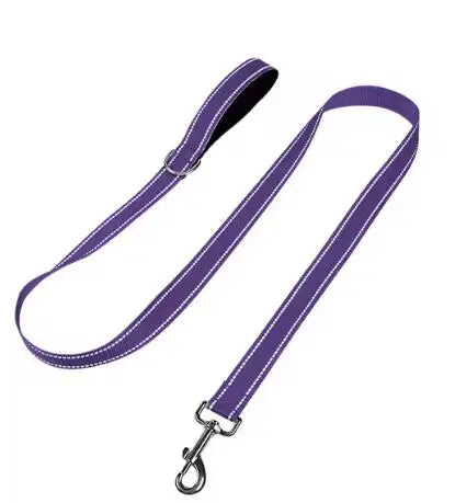 Reflective Night Safety Lead Strap for Dogs & Cats — Multiple Lengths & Colors