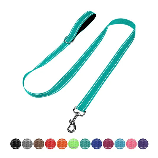 Reflective Night Safety Lead Strap for Dogs & Cats — Multiple Lengths & Colors