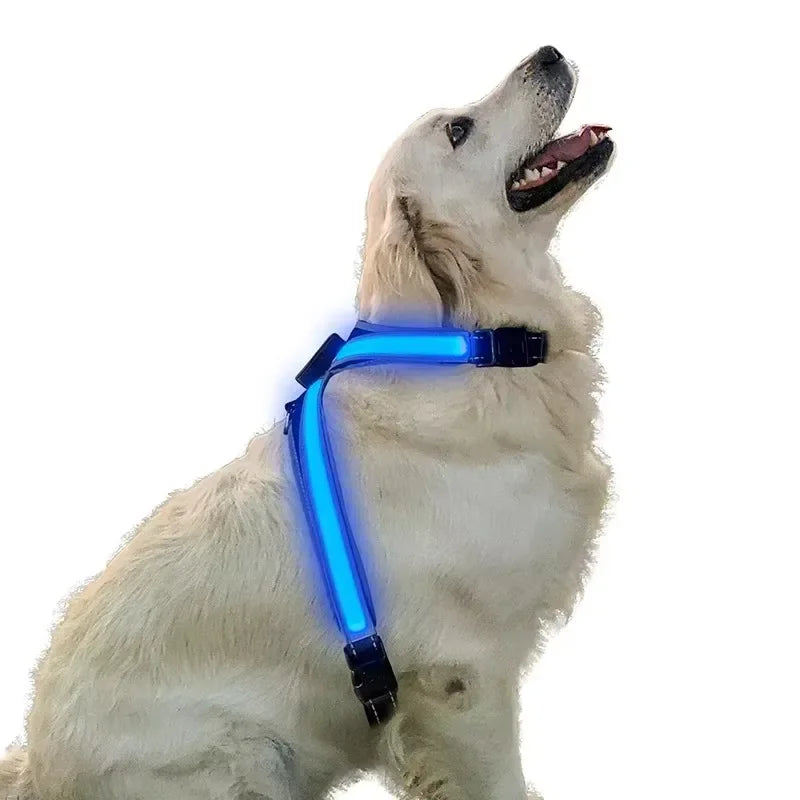 Color-Changing LED Dog Collar & Harness — Reflective Safety Vest for Night Walks