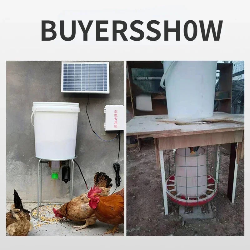 Gravity Bucket Poultry Feeder — Fill, Flip & Feed | Automatic Trough for Chickens, Ducks & Pigeons | WiFi or Solar Timer