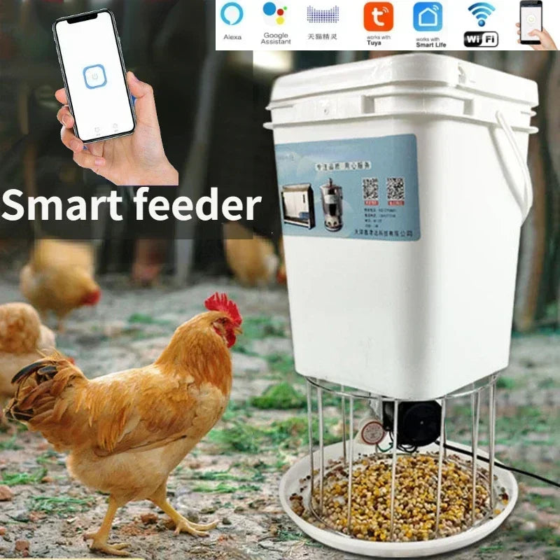 Automatic Poultry Feeder with Timer — WiFi Control or Solar Powered | Chickens, Ducks & Pigeons