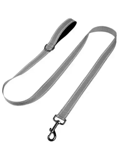 Reflective Night Safety Lead Strap for Dogs & Cats — Multiple Lengths & Colors