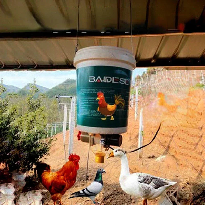 Automatic Poultry Feeder with Timer — WiFi Control or Solar Powered | Chickens, Ducks & Pigeons