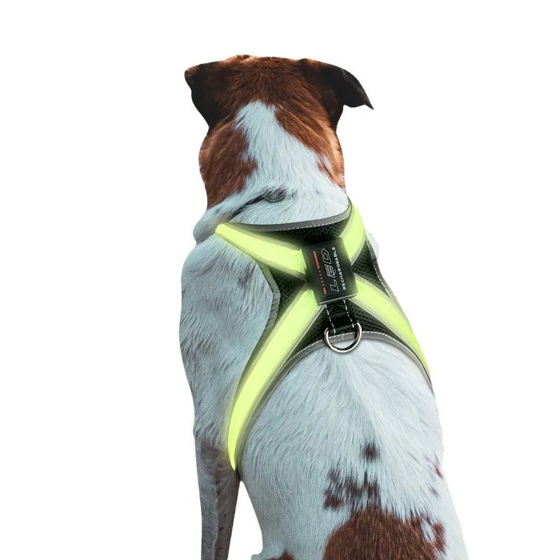 Color Changing Dog Collar — Unique Fiber Design