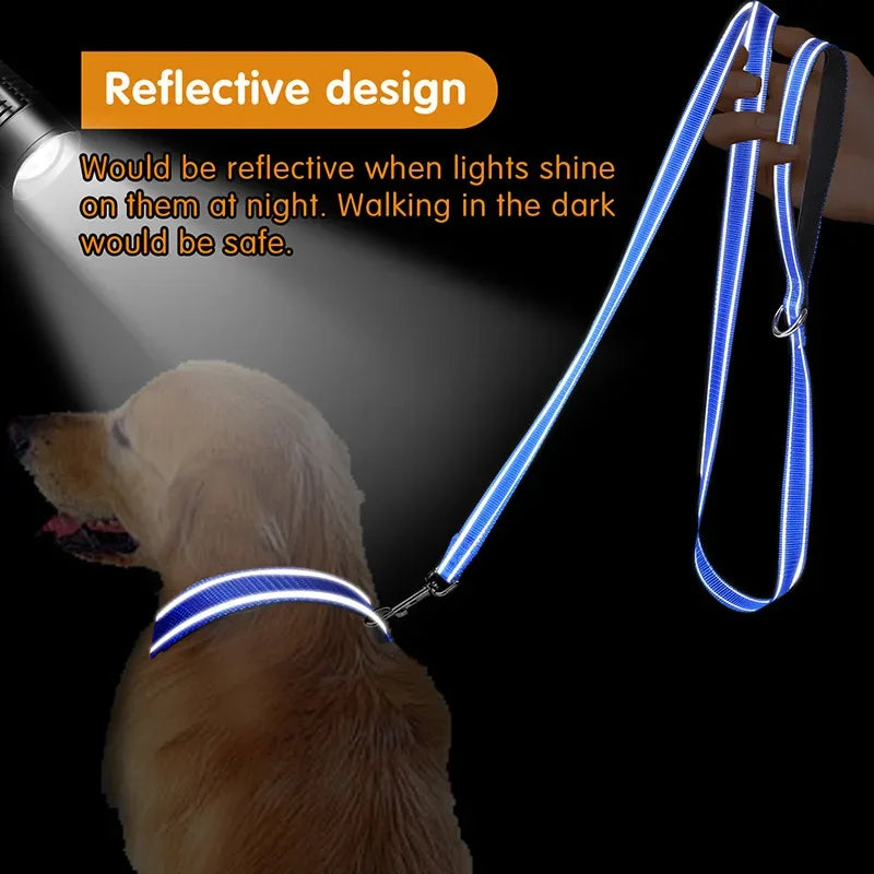 Reflective Night Safety Lead Strap for Dogs & Cats — Multiple Lengths & Colors